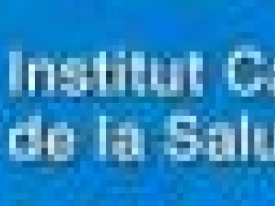ICS.jpg